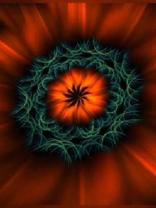 ubojnia drobiu Wielkopolskie