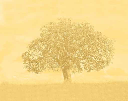 ubojnie drobiu Wielkopolskie